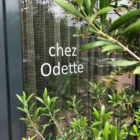 Chez Odette - Free Bikes&private Car Parking